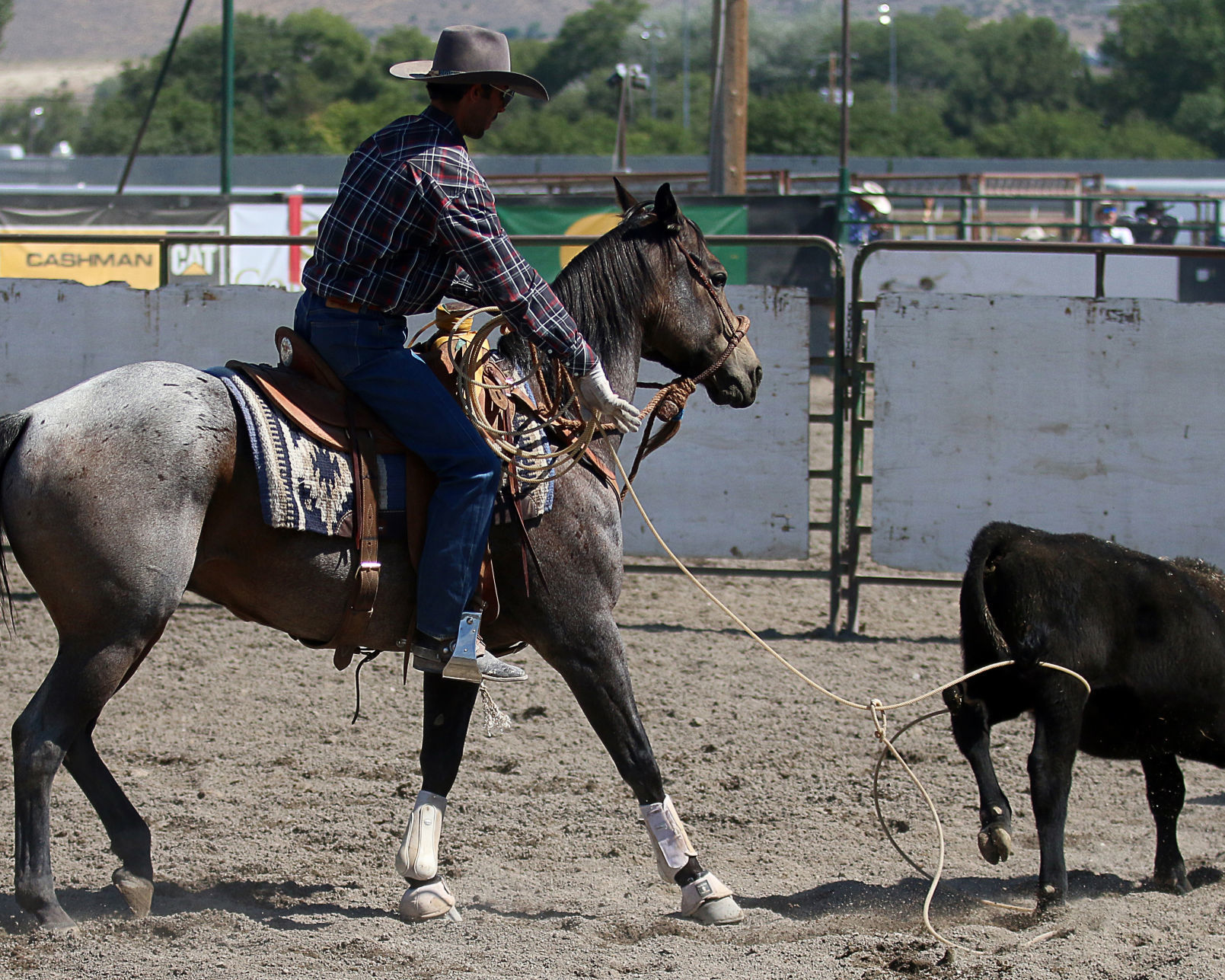 2018 Elko County Fair Open Branding Finals (35).JPG